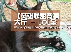 英雄联盟竞猜大厅 - LOL全球总决赛下注官方网站下载